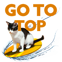 ページトップ